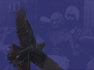 Blackbird - Kenny Rankin