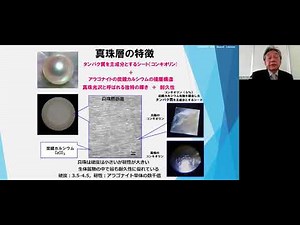 第37回 GIA Tokyo GemFest: 日本の養殖真珠の魅力