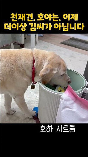 Hoya the genius dog becomes like this when he gets really angry lol