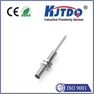 [Hot Item] Customized Inductive Proximity Sensor Switch PNP 10-36VDC Output High Performance