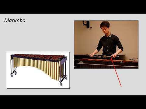 Introduction to Music Appreciation - Lesson 08 - Exploring Percussion Instruments