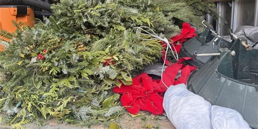 Where to drop off and recycle your Christmas tree