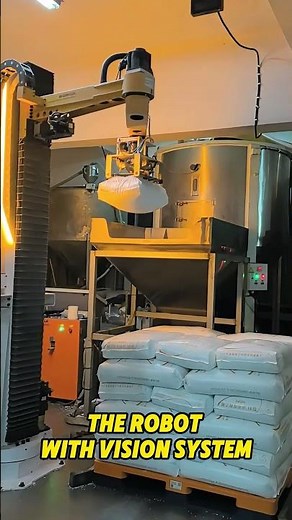 The Robot with vision system 😎 #palletizer #palletizingrobot #robotics#automation #depalletizer