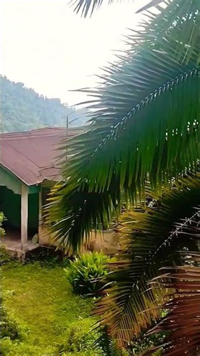 Short video Old time home 🏡#viralvideo #shortsfeed #youtubeshorts