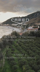 17K views · 2.4K reactions | Citrus is one of the oldest olfactory families in perfumery, dating back to the 14th century. Calabria and Sicily produce some of the world's finest citrus essential oils, and it is here that CREED harvests the bold and zesty fruits found within its fragrances. Discover vibrant, citrus notes of bergamot, lemon and grapefruit in Absolu Aventus. | Creed Fragrance | Facebook