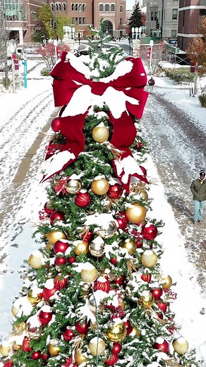 Embrace Winter on Campus: Loyola Chicago's Snowy Beauty