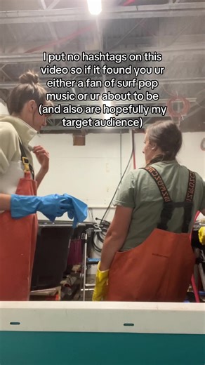 Discover New Surf Pop Music to Kickstart Your Year