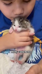 This little guy has been fostering kittens for many years. He’s so gentle and cute with them I can’t! I needed some cuteness to brighten the day! Hope it inspires you to foster! How to foster: The first step is to fill out a quick application on our website at www.puppykittynyc.org. From there, our team will work their magic to match you with the perfect kitty in need. Fostering isn’t just helpful—it’s life-saving. You’re giving a cat a second chance, and we’re so excited to have you join our mi