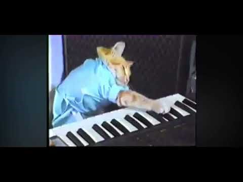 Keyboard cat original 1984
