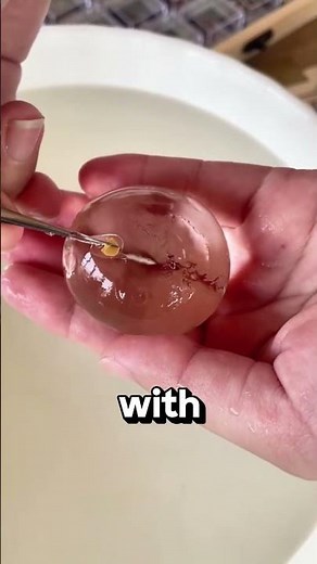 This “Alien Egg” Is Actually a Genius Seed-Growing Trick! 🌱👽