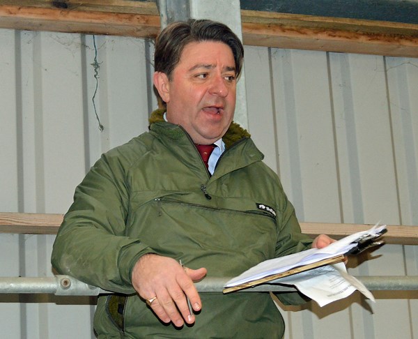 Record price per-kilo averages headline flying store cattle trade