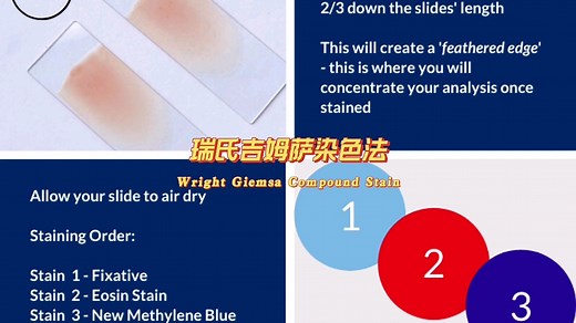 瑞氏吉姆萨染色法实操教程 a Guide of Wright Giemsa Compound Stain