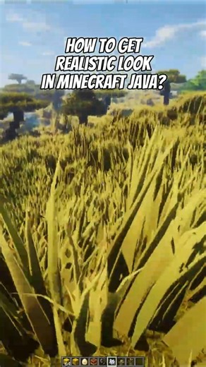 HOW TO GET ULTRA REALISTIC LOOK FOR MINECRAFt JAVA?