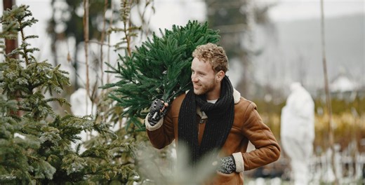 What the Sky Has to Do With Your Christmas Tree: The Weather Influence - The Weather Network