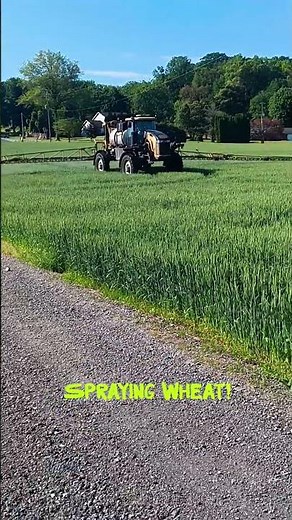 Spraying wheat to prevent head scab, which can reduce the crop & and produce vomitoxin. #farming #ag