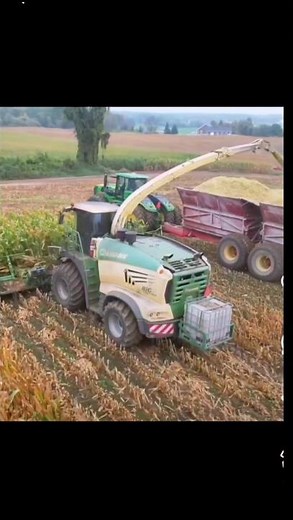 Powerful Harvester Cutting Crops in the Field #usatractor #americanfarming