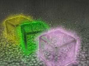 Thomas Campbell - The Monroe Institute Lecture