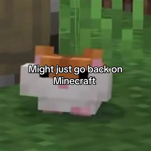 Cute Tiny Pets in Minecraft Gameplay