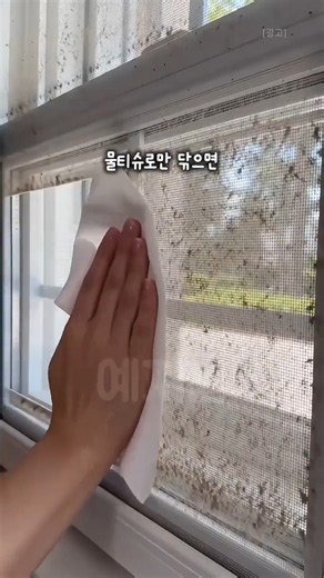 먼지 낀 방충망, 이렇게 닦아보세요🧹#방충망청소 #방충망청소법 #방충망닦는법 #청소꿀팁 #살림꿀팁 #청소팁 #살림노하우 #생활꿀팁 #집청소 #린스활용법 #청소노하우 #살림정보