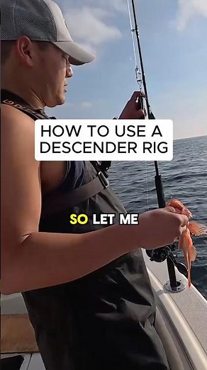 How to use a descender rig 😂 #fishing #fishingislife #fishingvideo #shorts