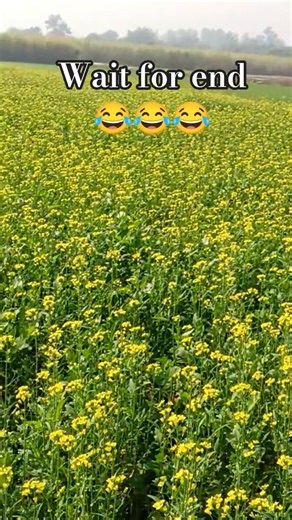 Tumhe dekhe meri akhe kya haal hai mere dil ka. @AnkulKumar-9236