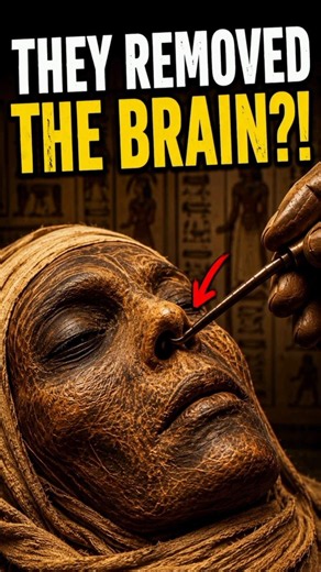 They Removed the Brain Through the Nose?! 🤯 Ancient Egyptian Mummification