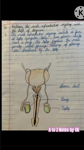 Class 8 Science | Chapter-6 Reproduction in Animals | Extra Questions | #atoznotesbysk