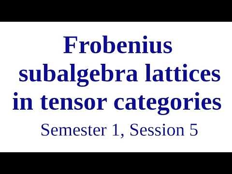 Frobenius subalgebra lattices in tensor categories - Semester 1, Session 5