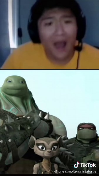 Ninja turtles on TikTok