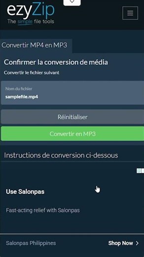 🎵 Convertir MP4 en MP3 dans Votre Navigateur | Aucune Installation de Logiciel Requise