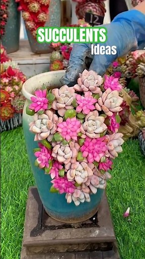 STUNNING Succulent DIY Ideas You Need to Try!
