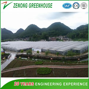 [Hot Item] Factory Low Price Poly Film Multi-Span Greenhouse with Top/Side Ventilation for Cabbage/Celery/Watermelon/Broccoli/Sightseeing