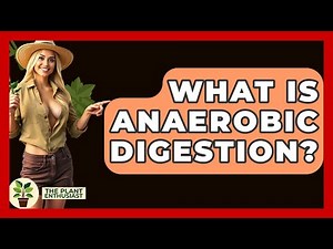 What Is Anaerobic Digestion? - The Plant Enthusiast