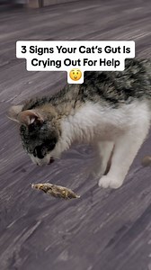 55K views · 216 reactions | Did you know that a healthy digestive...