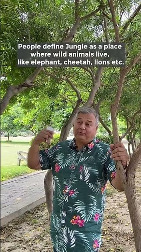 Create your own mini forest at home by growing more plants.