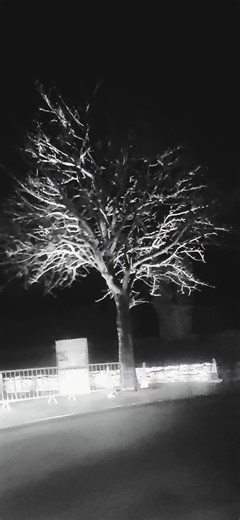 Bone Reaper (@bone.reaper)’s videos with original sound - Mental Health Matters