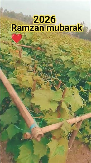 Ramzan mubarak ❤️#shorts