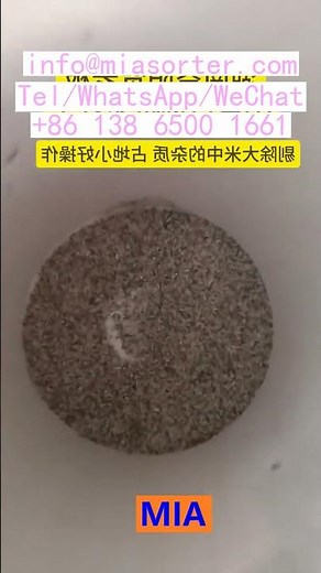 AI Color Sorter Machine OEM Supplier for Grain Rice Plastic Brazil Egypt Vietnam .mp4