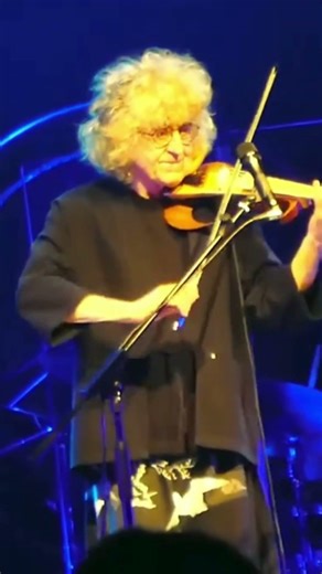 Angelo Branduardi #violin #concert #livemusic #music
