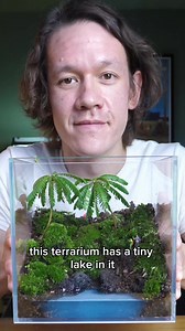 Making a terrarium with a little lake in it | Worcester Terrariums
