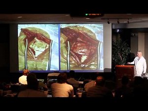 Designing a Lateral Skull Base Approach