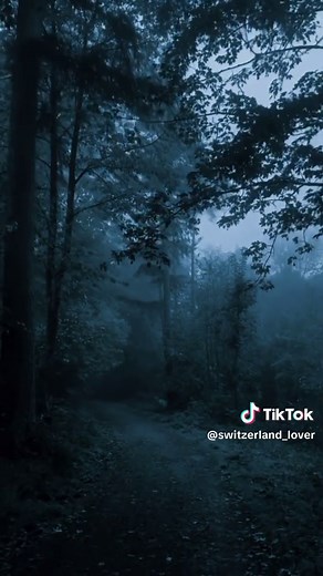 Exploring Dark Vibes in Nature: An Aesthetic Journey