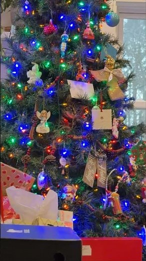 Cat Hiding in Christmas Tree to Watch Gift Opening