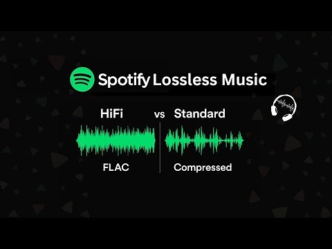 Spotify Lossless Audio | Experience High-Quality Music Streaming on Premium | newsdrift