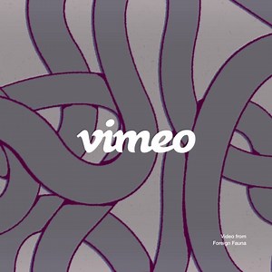 Don’t let storage caps interrupt your flow. | Vimeo | Facebook