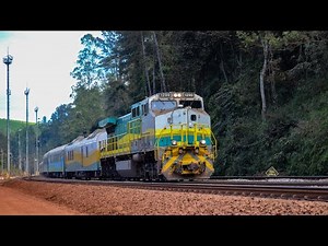 Discover VALE's passenger train: An unforgettable journey through the interior of Brazil