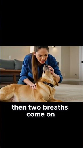 Learning CPR For Dog / How to save a dog’s life in 10 seconds 🐶🚨/ Performing CPR