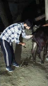 phir sa ap k samna ma AI k sath