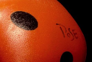 Igor Pose 'LadyBird'. 1998