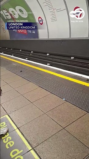 Sparring mice provide entertainment at London tube station